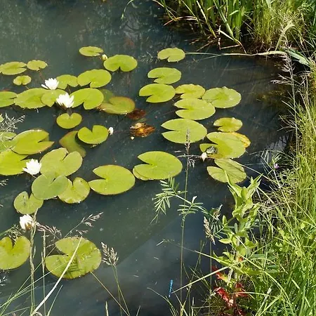 Ξενοδοχείο Mohrs Herzl Werder (Havel)
