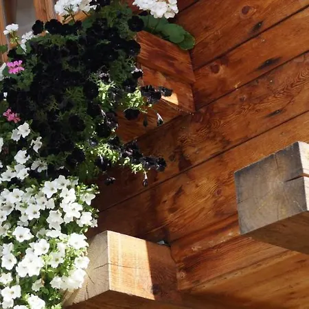 Mohrs Herzl فندق