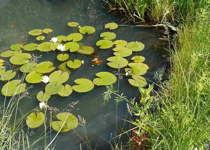 Hotel Mohrs Herzl Werder (Havel)